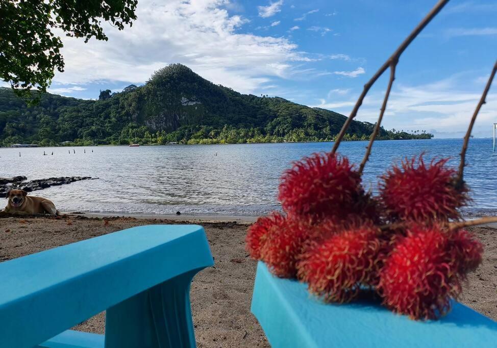 Raiatea, Opoa, Fare Reve, Bord De Mer Villa Luaran gambar