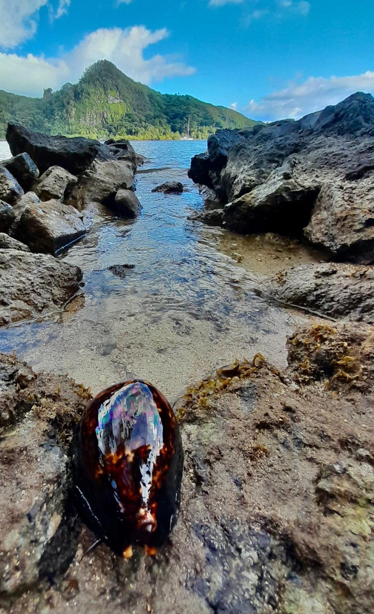 Raiatea, Opoa, Fare Reve, Bord De Mer Villa Luaran gambar